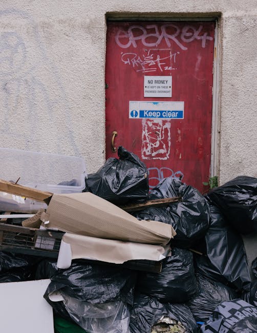 Rubbish removal near Rio Cinema Dalston Kingsland