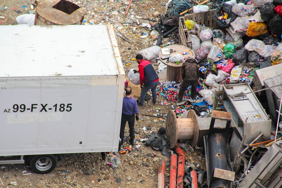 What to know about access issues for Dalston rubbish pickups